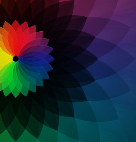 攻击网站服务器